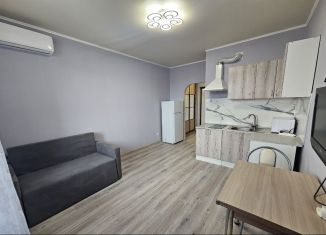 Продается квартира студия, 27.5 м2, Краснодар, улица Западный Обход, 45, ЖК Грани