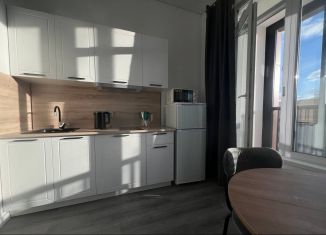 Сдача в аренду 1-комнатной квартиры, 28 м2, посёлок Шушары, Колпинское шоссе, 127