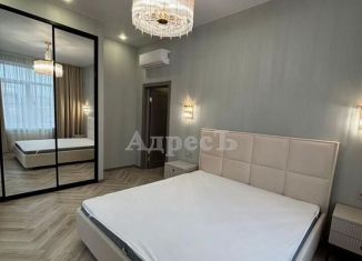 Сдаю в аренду 3-ком. квартиру, 80 м2, Воронеж, улица Танкиста Серебрякова, 14/3, Центральный район