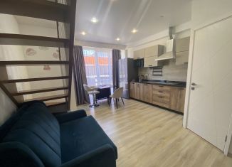 Продам однокомнатную квартиру, 55 м2, село Черешня, Подольская улица, 164/2А