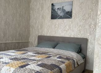 Сдача в аренду 1-комнатной квартиры, 32 м2, Псков, улица Некрасова, 4