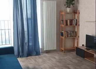 Сдам в аренду 2-ком. квартиру, 51 м2, Пермь, улица Барамзиной, 38