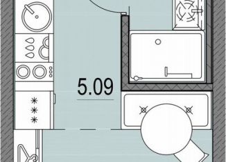 Продам квартиру студию, 20.2 м2, Санкт-Петербург, Василеостровский район
