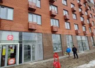 Сдам в аренду помещение свободного назначения, 60 м2, посёлок городского типа Томилино, микрорайон Птицефабрика, 35к1