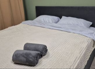 Сдается в аренду квартира студия, 23.5 м2, Екатеринбург, улица Фрунзе, 31