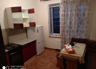 Сдается 1-ком. квартира, 32.6 м2, Люберцы, улица Дружбы, 7к2, ЖК Люберцы 2016