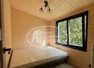 Продаю дом, 60 м2, деревня Мокино, Центральная улица