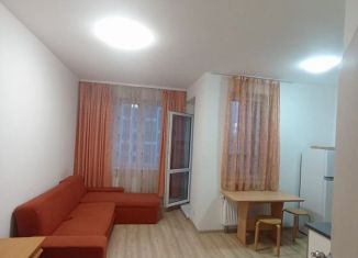Квартира в аренду студия, 27 м2, Екатеринбург, улица Академика Парина, 40