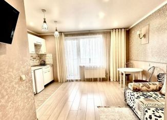 Продаю квартиру студию, 24 м2, Магнитогорск, Вознесенская улица, 7