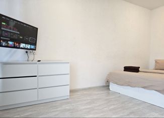 Сдаю квартиру студию, 31.8 м2, Екатеринбург, Онежская улица, 4