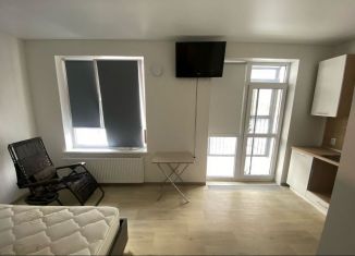 Сдается квартира студия, 27 м2, Екатеринбург, Абрикосовая улица, 58