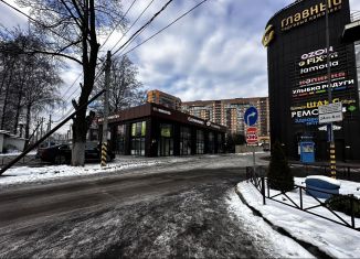 Продажа торговой площади, 300 м2, деревня Новое Девяткино, Главная улица, 21