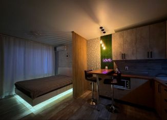 Сдача в аренду квартиры студии, 30 м2, Липецк, улица И.В. Свиридова, 20А