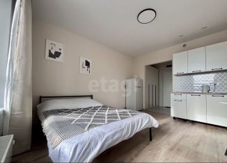 Сдача в аренду квартиры студии, 22 м2, Тюмень, Полевая улица, 117к4, ЖК Озёрный Парк