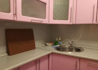 Однокомнатная квартира в аренду, 45 м2, Новомосковск, Парковый проезд, 4