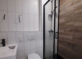 Продажа квартиры студии, 20.7 м2, Новосибирск, улица Кирова, 113/2, метро Речной вокзал
