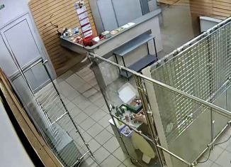 Аренда помещения свободного назначения, 29 м2, Юрга, Волгоградская улица, 5