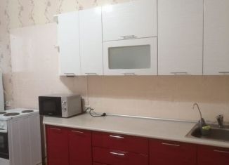 Сдаю в аренду однокомнатную квартиру, 45 м2, Новосибирск, Гэсстроевская улица, 2/1, ЖК На Гэсстроевской