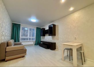 Аренда квартиры студии, 27 м2, Киров, Прибрежный бульвар, 4