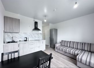 Квартира в аренду студия, 23 м2, Люберцы, улица Камова, 1к1, ЖК Люберцы 2020