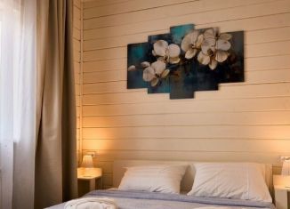 Дом в аренду, 40 м2, село Дивеево, Заречная улица