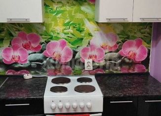 Сдается 1-комнатная квартира, 24.8 м2, Обь, Октябрьская улица, 10