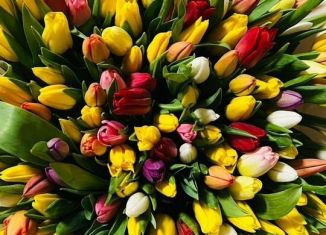 Продается машиноместо, 10 м2, Оренбургская область