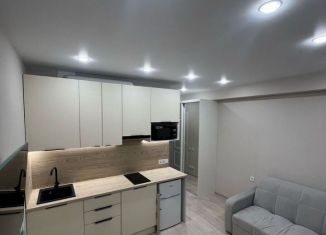 Сдам в аренду квартиру студию, 24 м2, Сочи, Пластунская улица, 104Бк3, микрорайон Заречный