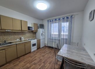 Сдам однокомнатную квартиру, 45 м2, Ростов-на-Дону, улица Петренко, 18