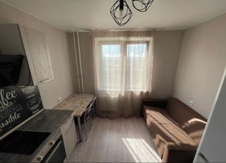 Сдача в аренду однокомнатной квартиры, 30 м2, Ростов-на-Дону, Художественная улица, 9, ЖК Платовский