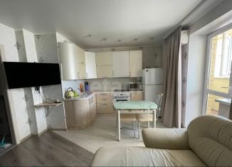 Продается квартира студия, 27 м2, Тюмень, Судоремонтная улица, 31, ЖК Новый Мыс