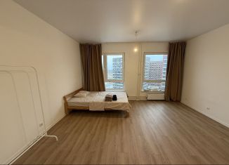 Сдаю в аренду квартиру студию, 28 м2, Ленинградская область, Парадная улица, 2/13