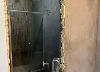 Продажа квартиры студии, 43 м2, село Подстёпки, Школьная улица, 21