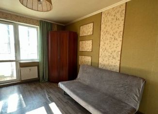 Квартира в аренду студия, 30 м2, Мурино, проспект Авиаторов Балтики, 1к1, ЖК Мой Город