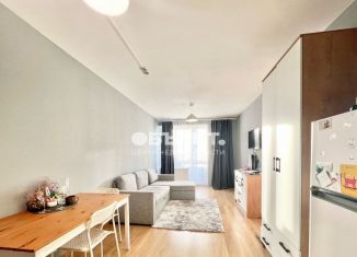 Продам квартиру студию, 25.9 м2, посёлок Парголово, Заречная улица, 11к6, ЖК Три Апельсина