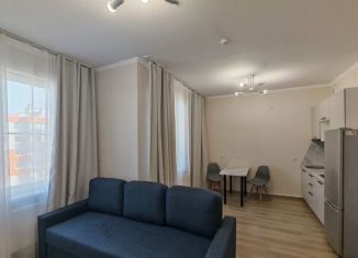 Сдаю в аренду квартиру студию, 31.8 м2, Ленинградская область, Ясная улица, 14к3