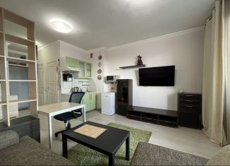 Сдам в аренду квартиру студию, 32 м2, Санкт-Петербург, 5-й Предпортовый проезд, 12к2, 5-й Предпортовый проезд