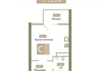 Продается квартира студия, 28.3 м2, посёлок городского типа Молодёжное