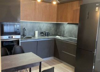 Сдаю в аренду 1-ком. квартиру, 38.4 м2, Ленинградская область, Ясная улица, 16к3
