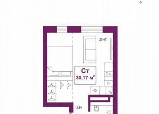 Продам квартиру студию, 30.2 м2, деревня Дударева, улица Сергея Джанбровского, 25