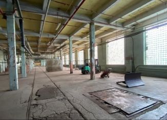 Сдаю в аренду производство, 2000 м2, Новгородская область, Великая улица, 22с10