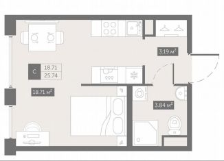 Продажа квартиры студии, 25.7 м2, посёлок Шушары