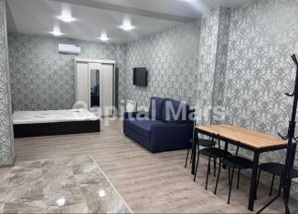 1-комнатная квартира в аренду, 40 м2, Сочи, Вишнёвая улица, 46А, микрорайон Заречный