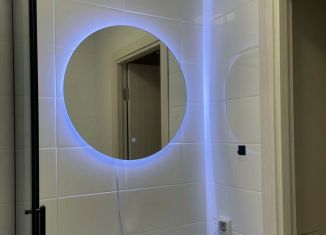 Сдам квартиру студию, 25.6 м2, деревня Новое Девяткино, Главная улица, 10