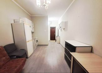 Продам квартиру студию, 19 м2, Благовещенск, Амурская улица, 14/1