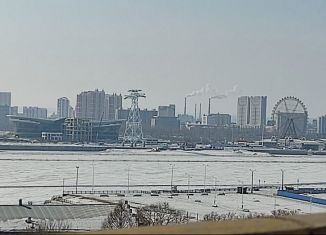 Сдам в аренду 1-ком. квартиру, 59 м2, Благовещенск, улица Фрунзе, 91