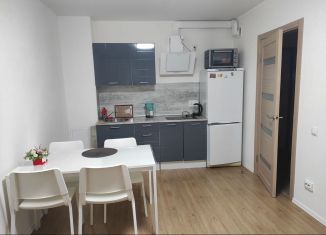 Аренда однокомнатной квартиры, 35 м2, Санкт-Петербург, улица Дыбенко, 5к1, ЖК Цивилизация