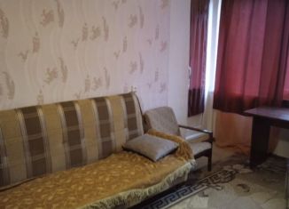 Аренда однокомнатной квартиры, 32 м2, Санкт-Петербург, Дворцовая площадь, муниципальный округ Дворцовый