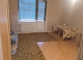 Сдаю квартиру студию, 25 м2, посёлок Шушары, Московское шоссе, 246