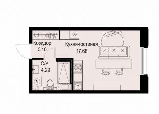Продажа квартиры студии, 25.1 м2, Санкт-Петербург, Петроградский район